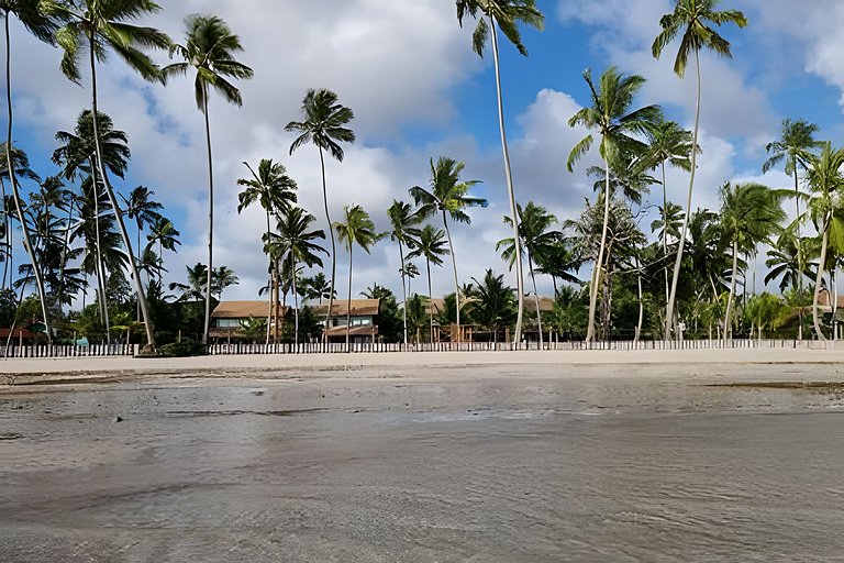Apê Mandacaru | Refúgio Pé na Areia em Carneiros