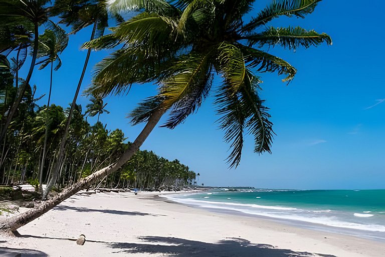 Apê Mandacaru | Refúgio Pé na Areia em Carneiros