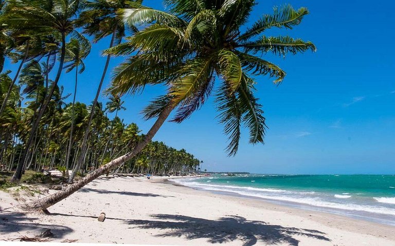 Bangalô Horizonte | Luxo & Mar em Carneiros