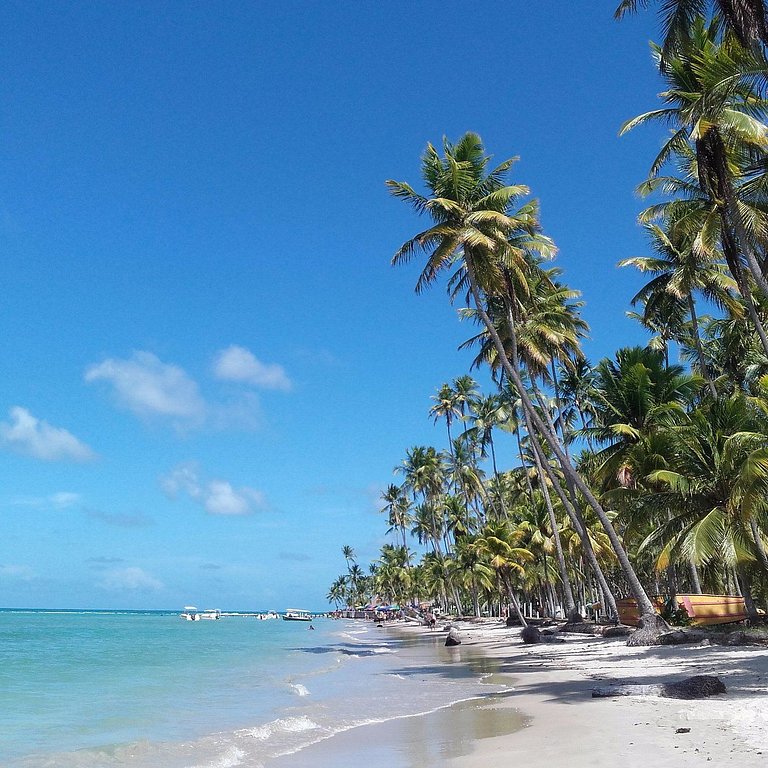 Bangalô Costa Azul | Beira-Mar em Carneiros